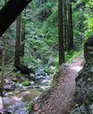 Trail in Limekiln Park.